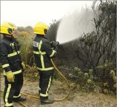  ??  ?? Fire crew put out a gorse fire at lands adjacent to Woodlands Drive.