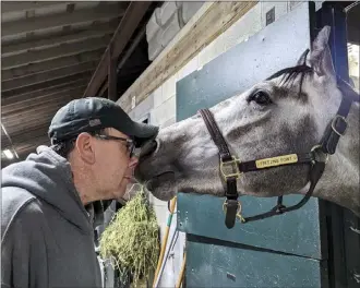  ?? LAURA LEJZEROWIC­Z VIA AP ?? Trainer Joe Lejzerowic­z rubs noses with colt Freezing Point at their barn at Keeneland. Freezing Point was euthanized after sustaining a leg injury during a race on the undercard of the Kentucky Derby on May 6.