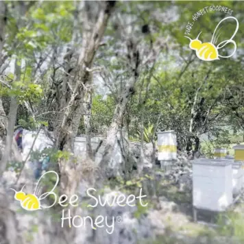  ??  ?? One of the apiaries operated by Bee Sweet Honey JA