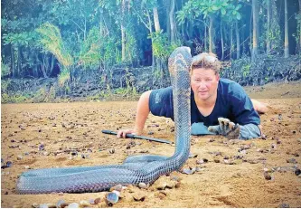  ??  ?? THE moment Graham ‘Dingo’ Dinkelman locked eyes with a cobra within spitting distance of him.