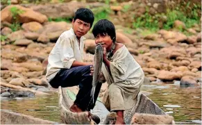  ??  ?? Bolivia’s Tsimane people eat a diet rich in vegetables, grains, lean meat and fish, and have the healthiest arteries in the world, scientists say.