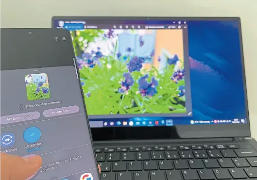  ?? Dpa-BILD: Till Simon Nagel ?? Schöne Blumen vom Smartphone auf den Computer – dauert mit Quick Share nicht mehr als 10 Sekunden.