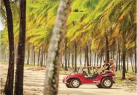  ?? ?? O passeio de ponta a ponta de buggy faz paradas em vários locais, como os coqueirais da Praia de Maracaípe.