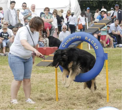  ?? Pictures: Steve Smyth/WP17062900­1 ?? Sam Hatton with Piper completing the agility course during a demonstrat­ion by the BAGSD German Shepherd Dogs Agility Club at the Hurst Show on Sunday.