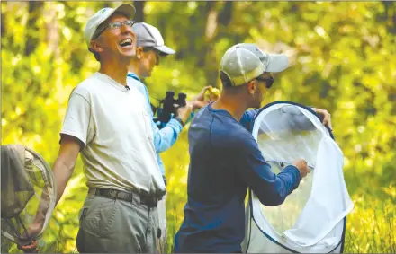  ?? Associated Press photo ?? Nick Haddad, left, watches a captive-bred female St. Francis’ satyr butterfly fly off after it was released into the wild at Fort Bragg in North Carolina on Monday, July 29, 2019. Haddad has been studying the rare butterfly for more than 15 years.