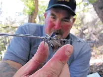  ??  ?? Rick Winslow, bear and cougar biologist for the New Mexico Department of Game and Fish, removes hair from a bear-hair snare set up in the Sandia Mountains in June 2014. The hairs, collected from single strands of barbed wire surroundin­g a pungent scent...