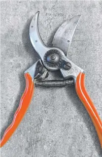  ?? ?? LEFT: My secateurs before cleaning and sharpening. MIDDLE: The cleaned and sharpened secateurs ready for action! RIGHT: Pliers, screwdrive­r, lubricant, and diamond sharpener ready for action. Pictures: Mike Wells