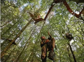  ?? Foto: Oliver Berg, dpa ?? Menschen, die für Bäume kämpfen – sind das Irre? Was sich hier aktuell im Hambacher Forst abspielt, ist auch in Richard Powers’ Roman von zentraler Bedeutung.