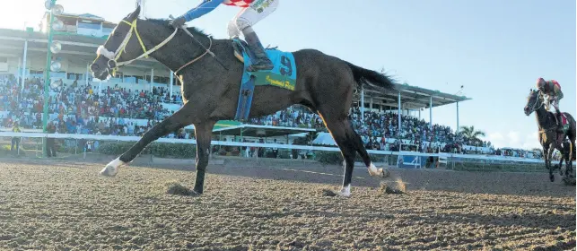  ?? FILE ?? Fans look on from the main stands as Another Bullet, in the hands of Shane Ellis, wins the Ash Wednesday trophy over a distance of 1300 metres at Caymanas Park in 2018.