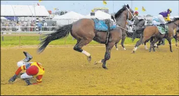  ?? John McDonnell The Associated Press ?? Jockey John Velazquez tumbles to the track uninjured after falling off Bodexpress as the field breaks from the starting gate in the 144th Preakness Stakes on Saturday.