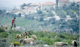  ?? (Ali Hashisho/Reuters) ?? A BOY WALKS through a field in the Lebanese village of Kafr Kila, near Metulla, on Saturday.