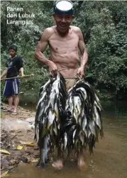  ??  ?? Panen dari Lubuk Larangan.