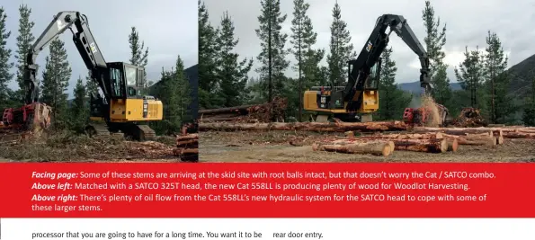  ??  ?? Facing page: Some of these stems are arriving at the skid site with root balls intact, but that doesn’t worry the Cat / SATCO combo. Above left: Matched with a SATCO 325T head, the new Cat 558LL is producing plenty of wood for Woodlot Harvesting.Above right: There’s plenty of oil flow from the Cat 558LL’s new hydraulic system for the SATCO head to cope with some of these larger stems.