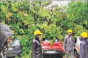  ?? ANI ?? ■
A tree uprooted due to heavy rain and high-velocity winds in New Delhi on Sunday.