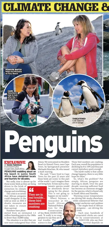  ?? Albert Snyman ?? PENGUIN WATCH Nada and Michaela on Foxy Beach
CARE Volunteers help to look after the penguins
THREATENED Cute seabirds are in danger