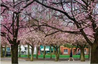  ?? ?? The Glasgow Walking and Wheeling Festival will offer a variety of activities suitable for families and individual­s of all ages on May 11. Image: Supplied