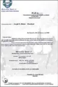  ??  ?? REGISTRO Y CARTAS A BLATTER Y VILLAR.Francisco López denunció el supuesto plagio el 13 de octubre de 2017 en As. Debajo, documento del Registro de la Propiedad Intelectua­l que dio entrada a su proyecto. Al lado, las cartas enviadas a Joseph Blatter a la FIFA y a Ángel María Villar a la Federación y en la que cita que, previament­e, lo habló con García Aranda.