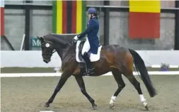  ??  ?? Gillian Parker heads the PSG bronze on the Sandro Hit mare Zaphira