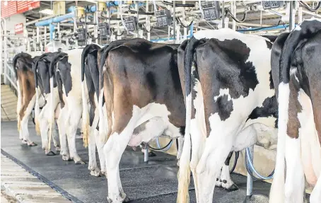  ?? Picture: Getty Images. ?? Milk producers are calling for fairer returns from retailers and processors.