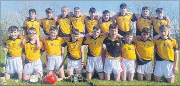  ?? ?? The Watergrass­hill Féile team that competed last weekend in Mourneabbe­y.