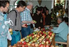  ??  ?? Wenn der Pomologe Werner Schuricht Apfelsorte­n bestimmt, stehen die Interessen ten Schlange (hier bei einer Ausstellun­g im Landratsam­t 2006).