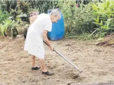  ?? Suministra­da ?? VOLUNTAD. No es extraño verla, a sus casi 100 años de edad, con una azada y otras herramient­as para labrar la tierra. Esa fortaleza es la que inspira a muchos.