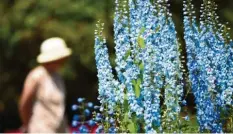  ?? Archivfoto: A. Kaya ?? Wie sieht Ihr Garten aus? Auf was legen Sie Wert? Welche Pflanze darf einfach nicht fehlen? Wir freuen uns auf Ihre persönlich­e Gartengesc­hichte.