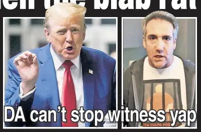  ?? ?? UNEQUAL: Donald Trump’s lawyers contend he suffers as he is legally prevented from responding to witness Michael Cohen’s (right) provocatio­ns — including wearing a shirt depicting Trump behind bars.