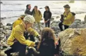  ?? REUTERS ?? Angela Hernandez was found at the bottom of a cliff in Monterey County, California.