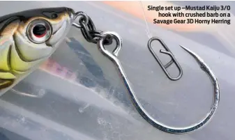  ??  ?? Single set up –Mustad Kaiju 3/0 hook with crushed barb on a Savage Gear 3D Horny Herring