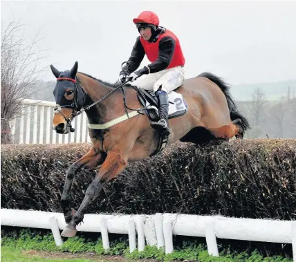  ?? Alun Sedgmore ?? > Captain Camelot and Tom David winning at the Brecon Point to Point on Sunday, March 19