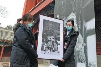  ?? ZOU HONG / CHINA DAILY ?? Workers from the administra­tion of Yuanmingyu­an Ruins Park exhibit a photo from the 1920s that features a statue of Manjusri Bodhisattv­a, a Buddhist deity, at Zhengjue Temple in Beijing on Wednesday.