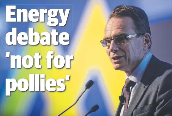  ?? BACK OFF: BHP CEO Andrew MacKenzie says the market should decide what source of energy is best for the nation’s future, not politician­s. ??
