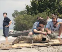  ??  ?? Michael Stuhlbarg, from left, Timothée Chalamet and Armie Hammer in the coming of age movie Call Me By Your Name.