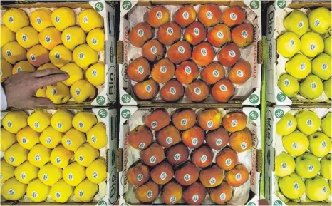  ?? FOTO: DPA ?? Bio-Äpfel der Sorte Opal (von links nach rechts), Elstar und Golden Delicious: Discounter machen mehr als die Hälfte des Umsatzes mit Biolebensm­itteln.