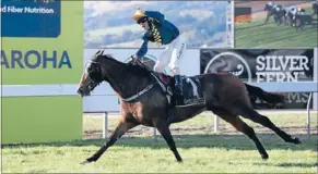  ??  ?? Perfect result: Craig Grylls celebrates yet another big win on Viadana in the $200,000 Fiber Fresh New Zealand Thoroughbr­ed Breeders’ Stakes at Te Aroha.