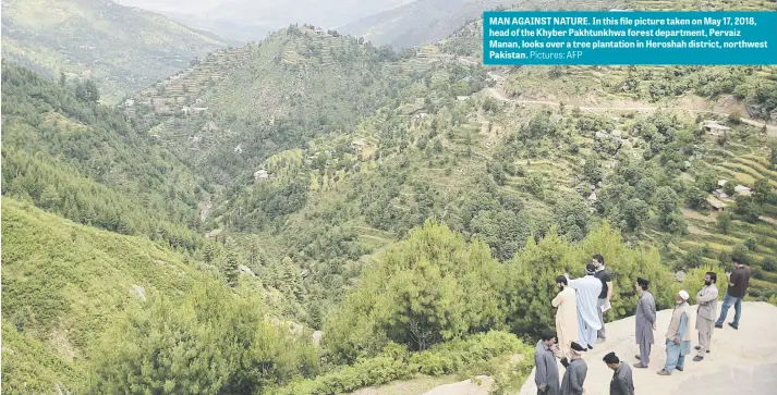  ?? Pictures: AFP ?? MAN AGAINST NATURE. In this file picture taken on May 17, 2018, head of the Khyber Pakhtunkhw­a forest department, Pervaiz Manan, looks over a tree plantation in Heroshah district, northwest Pakistan.