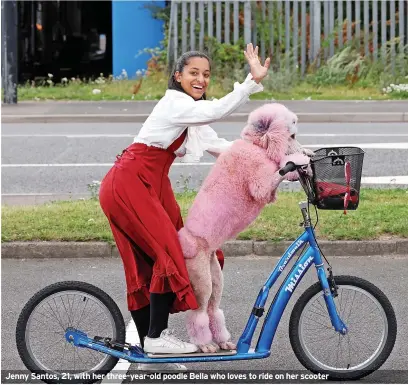  ?? ?? Jenny Santos, 21, with her three-year-old poodle Bella who loves to ride on her scooter