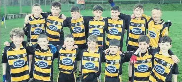  ?? ?? The Glenville U12 team who played Lisgoold.