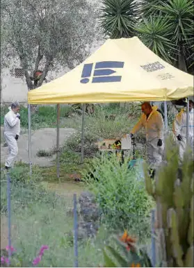  ?? Fotos: ALEJANDRO SEPÚLVEDA ?? Zona acordonada. Agentes de la Policía Científica y del grupo de Homicidios trabajaron durante horas para esclarecer lo sucedido en esta finca situada en el Camí de Son Frau, entre Manacor y Sant Llorenç des Cardassar.