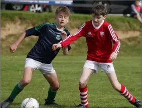 ??  ?? Leo Morris (Moyne Rangers, right) and Alfie Jeffares (Forth Celtic) have eyes only for the ball in the Under-13 Cup final in Castlebrid­ge on Saturday.