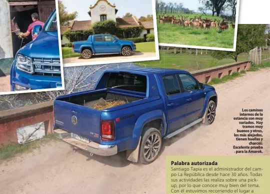  ??  ?? Los caminos internos de la estancia son muy variados. Hay tramos muy buenos y otros, los más alejados, tienen huellas y charcos. Excelente prueba para la Amarok.