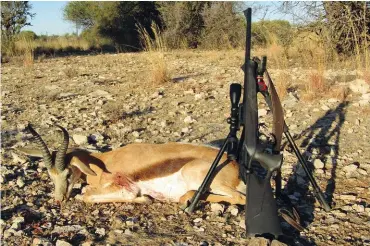  ??  ?? BO: Uiteindeli­k! Nadat ek bykans 30 jaar gelede ’n springbok op Wildspan met ’n .270-geweer misgeskiet het, het ek in 2018 dié fout reggestel met my eie .270, ’n Blaser Profession­al. ONDER: Ek het Norma-fabrieksam­munisie gebruik, gelaai met Oryx-koeëls van 150gr. Let op die herwonne, omgeklinkt­e Oryx-koeël wat ons uit die koedoebul gehaal het.