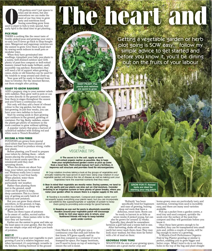  ??  ?? EASY PEASY: Pea plants and radishes are quick to grow
GROW FOR IT: Raised beds are ideal for starting your veg patch