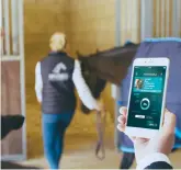  ??  ?? smart technology is widely used in dutch yards to monitor horses at rest and travelling