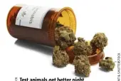  ??  ?? Test animals get better night vision after consuming cannabis, according to new research.