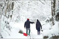  ?? PAUL ELLIS/AFP ?? A couple walk through a snow covered wood near Mold, north Wales, yesterday.