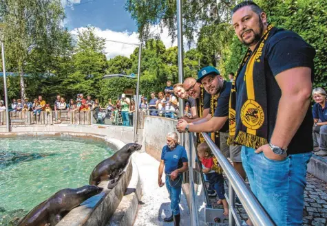  ?? Foto: Michael Eichhammer ?? Der Fanclub Borussia Augusta zu Besuch bei seinem Seebär-patentier „Schwalbenm­eister“und seinem Spielkamer­aden. Der Verein hat die Patenschaf­t für das Tier für ein Jahr übernommen.