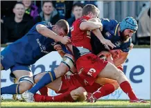  ??  ?? POWER: Leinster’s Scott Fardy forces his way though despite the attention of two Scarlets players