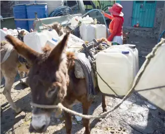  ?? RODRIGO OROPEZA/AGENCE FRANCE-PRESSE ?? WOMAN fills containers with water from a public water pump to take them home carried by her donkeys in Santa Cruz Acalpixca, Xochimilco mayorality, Mexico City. The problem of water shortages in Mexico, which afflicts both the capital and other states and is aggravated by the heat wave, is beginning to break into the campaigns for the general elections on 2 June.